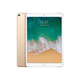 iPad Pro 10.5 (2017) 1st gen 256 Go - WiFi + 4G - Gold | Back Market