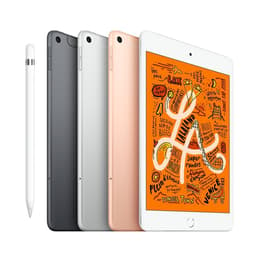 iPad mini (2019) 5th gen 64 Go - WiFi + 4G - Silver | Back Market